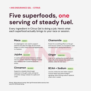ANS (Athletic Nutrition Solution) - Citrus Superfood Energy Gel